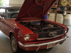 Gord Mustang Repair